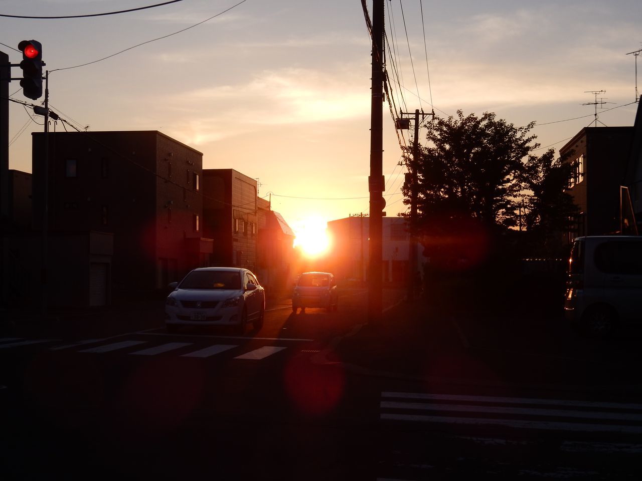 夏日の午後の講義を終えて_c0025115_21553003.jpg