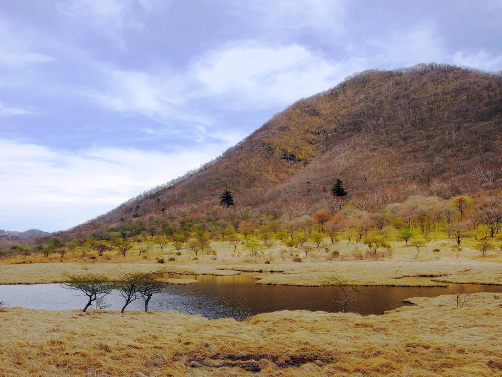 赤城山・覚満渕早春賦_a0031821_17514236.jpg