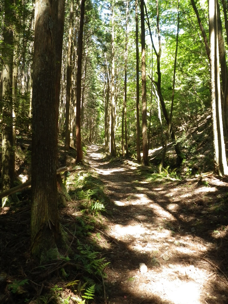 c0189724_19315419.jpg
