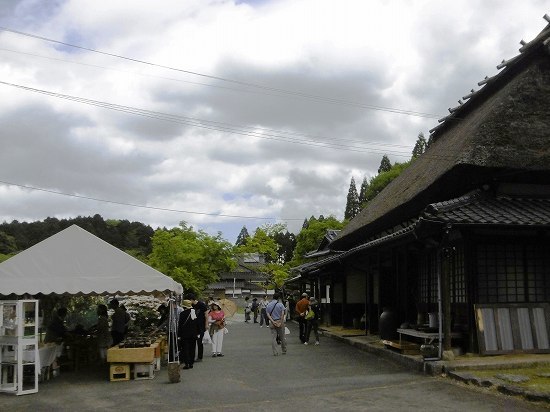d0086228_11113862.jpg