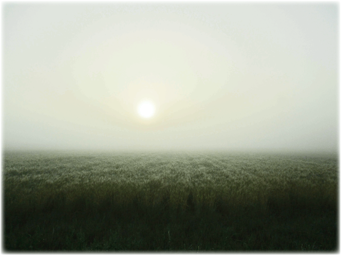 c0107829_11144112.gif