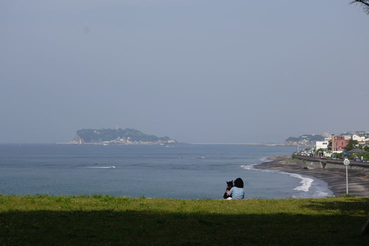 鎌倉を全力でぶらぶら 2017 その2～稲村ケ崎から坂ノ下へ_a0287336_22264553.jpg