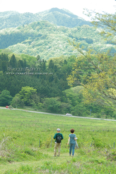 平和な三瓶・西の原さんぽ_b0197639_11141107.jpg