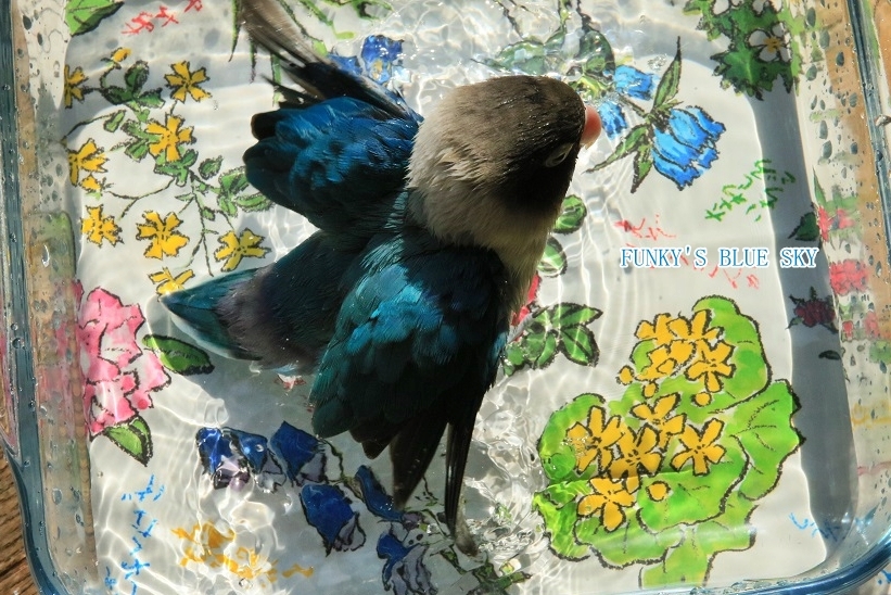 c0145250_10565810.jpg