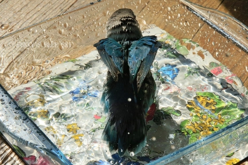 c0145250_10574829.jpg