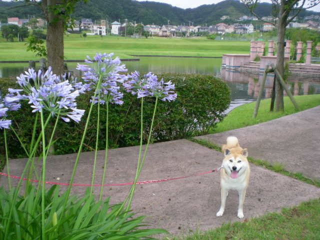 ’17,5,18(木)やっと晴天に~!_f0060461_09420099.jpg