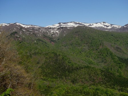 a0344771_12001726.jpg