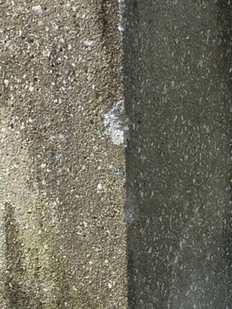 諸鈍長浜公園の灯柱が、_e0028387_12512569.jpg