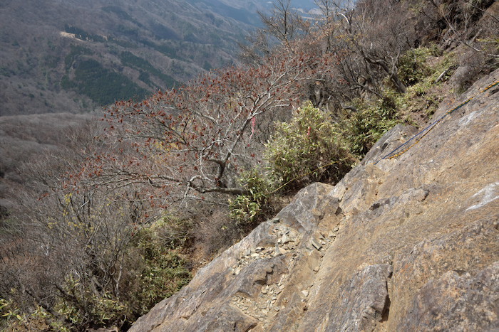 b0339488_19002426.jpg