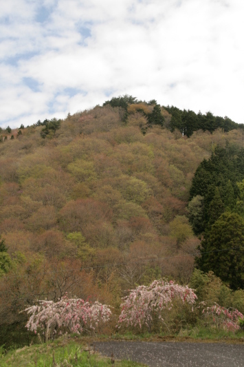 馬篭から妻籠へ♪_f0158596_08005521.jpg