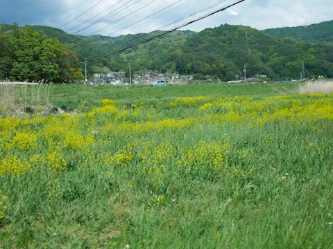 c0090198_18562592.jpg