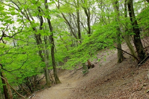 e0304001_07102620.jpg