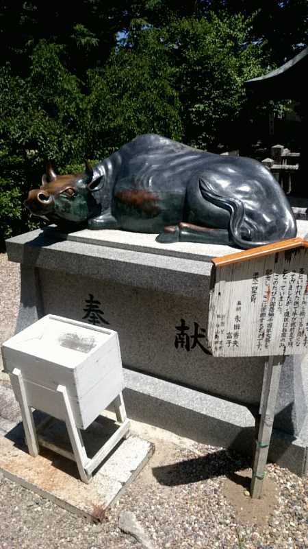 b0326613_00102399.gif
