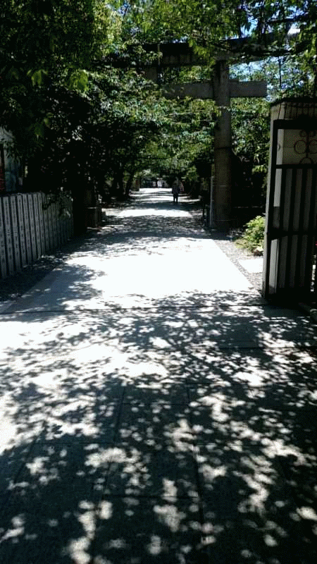b0326613_00121047.gif
