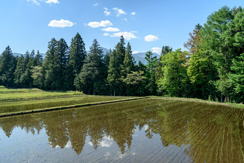 物語の聞こえない風景_e0082314_19585310.jpg