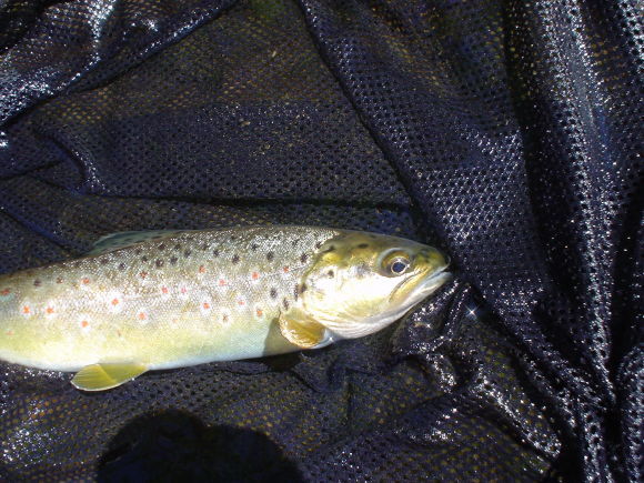 f0280717_14085216.jpg