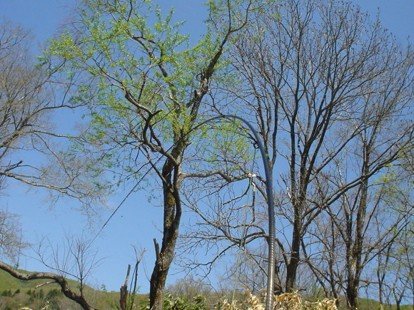 f0280717_14133040.jpg