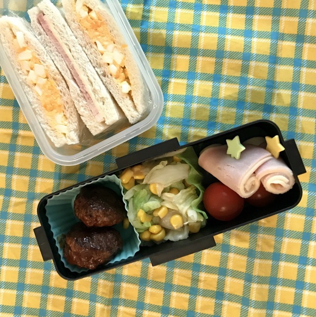 遠足弁当_c0342322_16092137.jpg