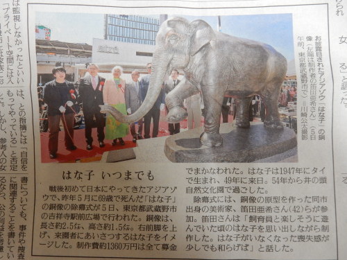 はな子さん。。。（井の頭自然文化園）2017年5月26日_d0281322_13294516.jpg