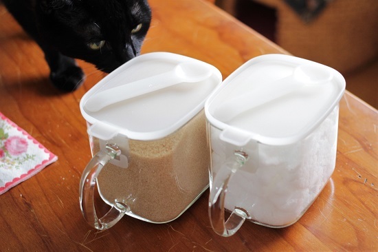 無印の調味料保存容器使いはじめました きょうだい猫と仲良し暮らし