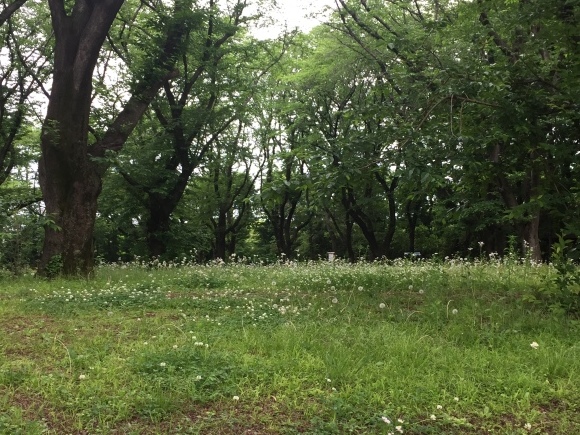 b0164428_22493713.jpeg