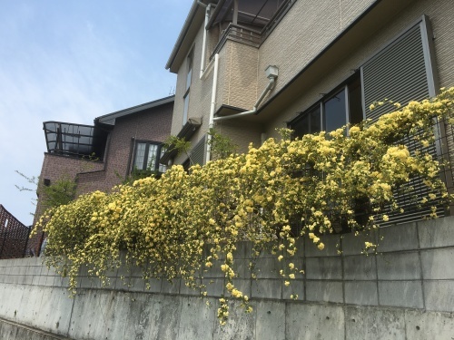 f0306734_12473238.jpeg