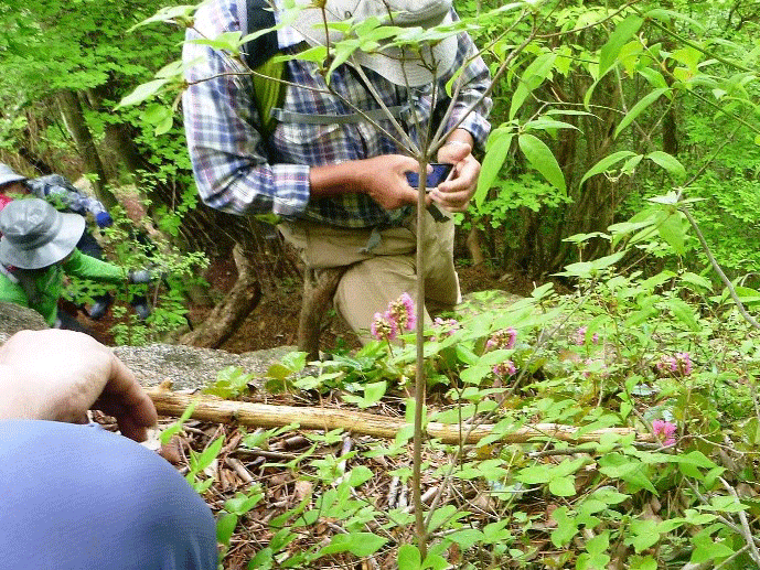 e0371039_5555198.gif