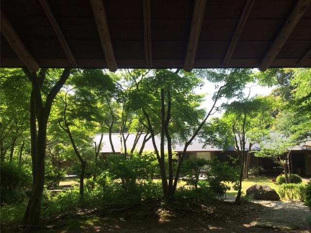 a0116442_19331394.jpg