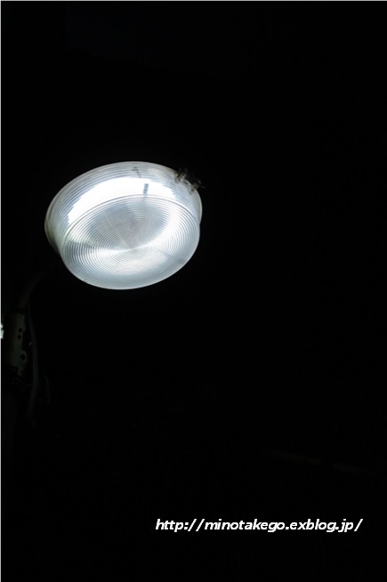 外灯の蛍光灯をLEDにしなかった訳_e0343145_09261474.jpg