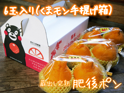 父の日ギフトにおすすめ!(2025) 熊本県産!デコポン(肥後ポン)大好評発売中!父の日ギフトも受付開始_a0254656_17132946.jpg