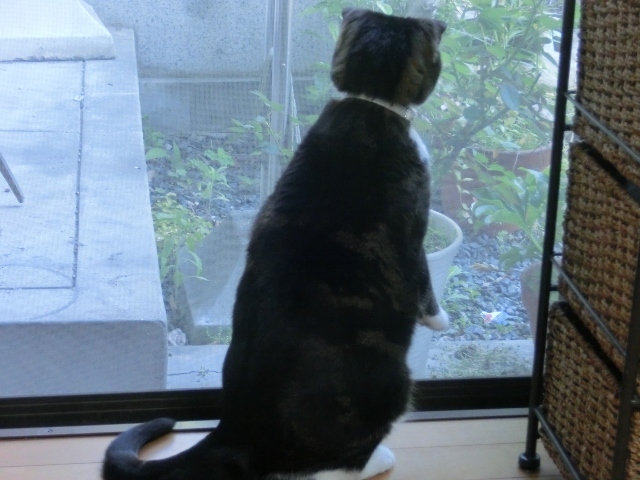 c0328559_17001550.jpg