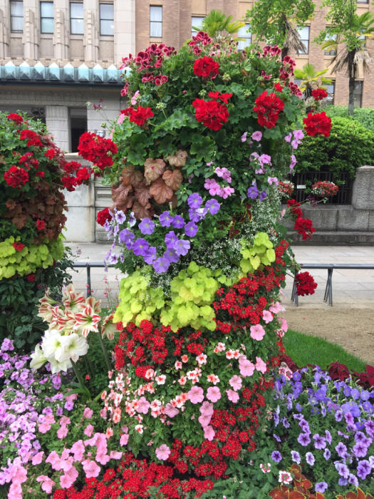 横浜ぶらりお散歩しながら〜♪全国都市緑化よこはまフェアでお花いっぱい_d0152261_18052513.jpg
