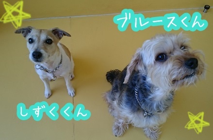 2ショット!_f0357682_12362001.jpg