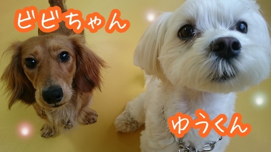 2ショット!_f0357682_12363088.jpg