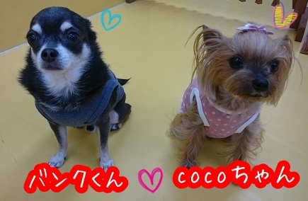 2ショット!_f0357682_12363657.jpg
