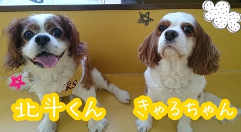 2ショット!_f0357682_12364254.jpg