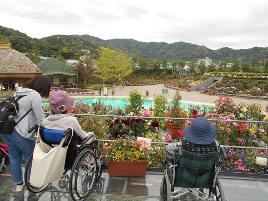 ラグーナへお花見学♪_f0220087_15234767.jpg