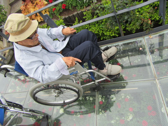 ラグーナへお花見学♪_f0220087_15265231.jpg