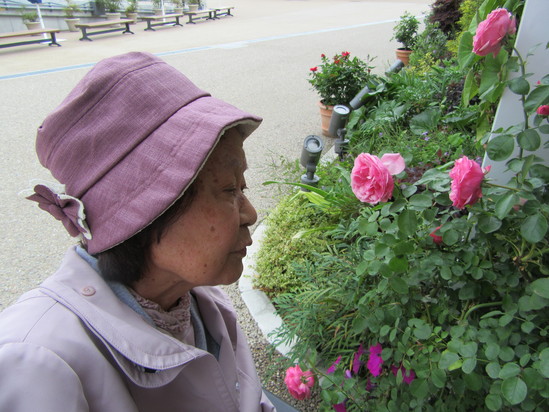 ラグーナへお花見学♪_f0220087_15363414.jpg
