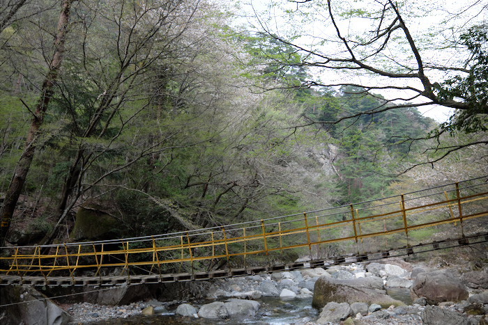 b0339488_20363292.jpg