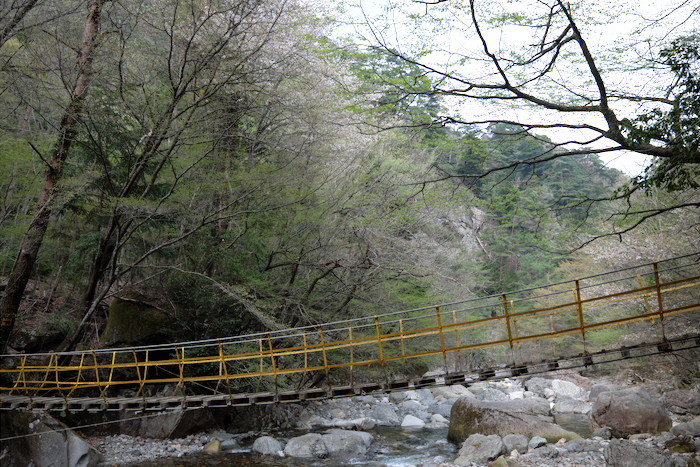 8日目-3　祖母山下山、七里田温泉下湯_b0339488_20363292.jpg