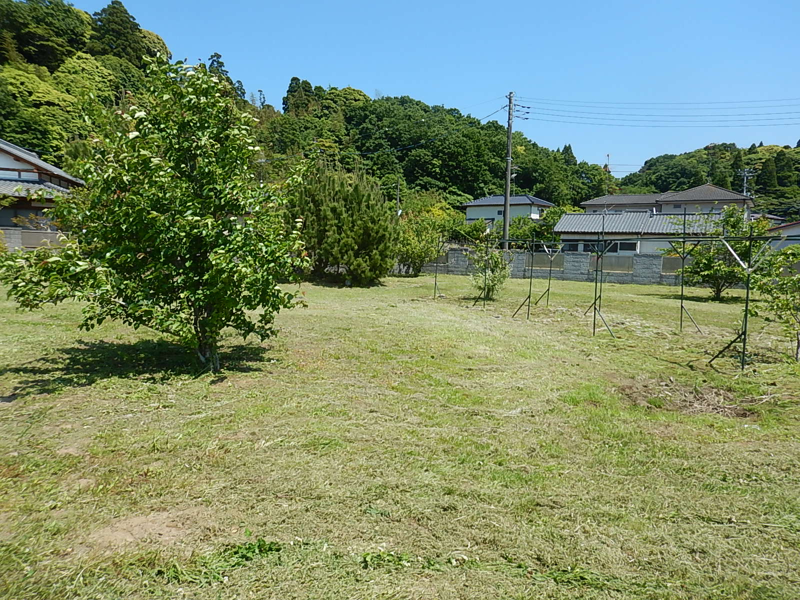 e0270198_173399.jpg
