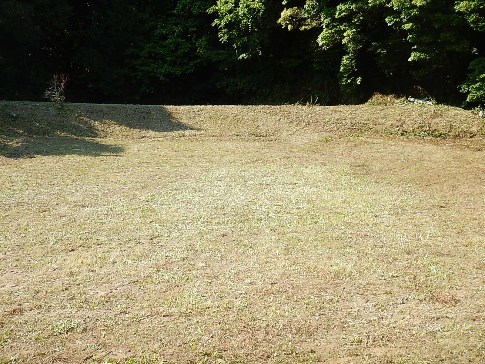 e0270198_1773537.jpg