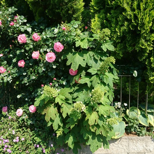 c0179308_00384864.jpg