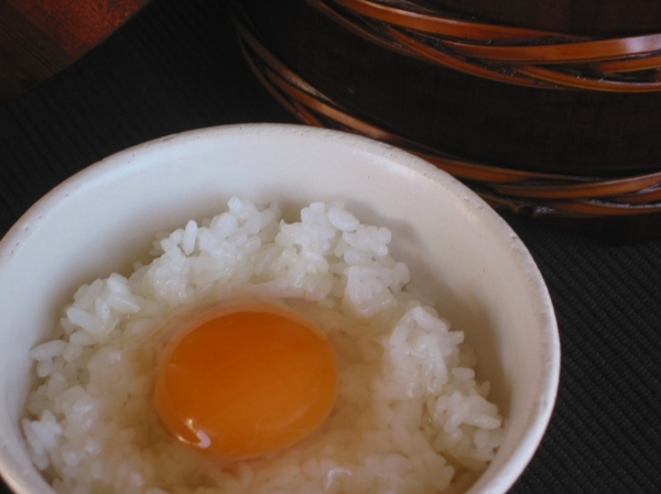 「モノカタリ食堂 ②(放し飼い自然卵)」_a0120513_19132026.jpg