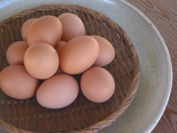 「モノカタリ食堂 ②(放し飼い自然卵)」_a0120513_19504532.jpg