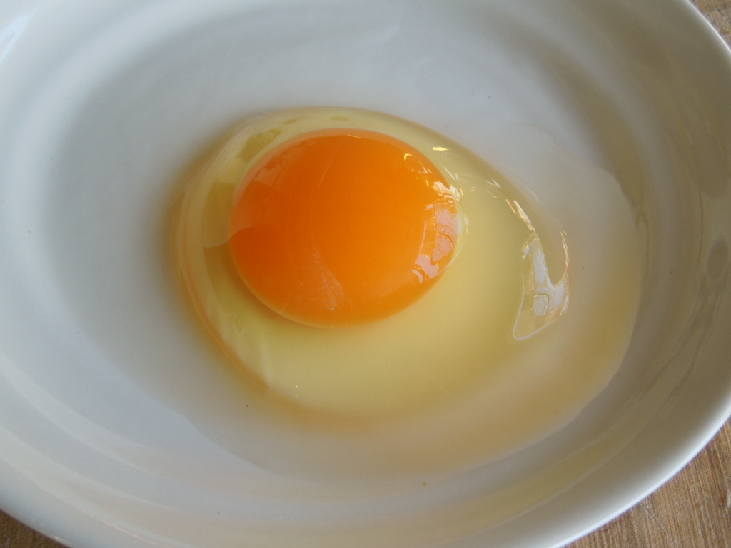 「モノカタリ食堂 ②(放し飼い自然卵)」_a0120513_20071065.jpg