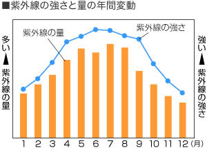 ７月初日～_d0176924_11215530.jpg