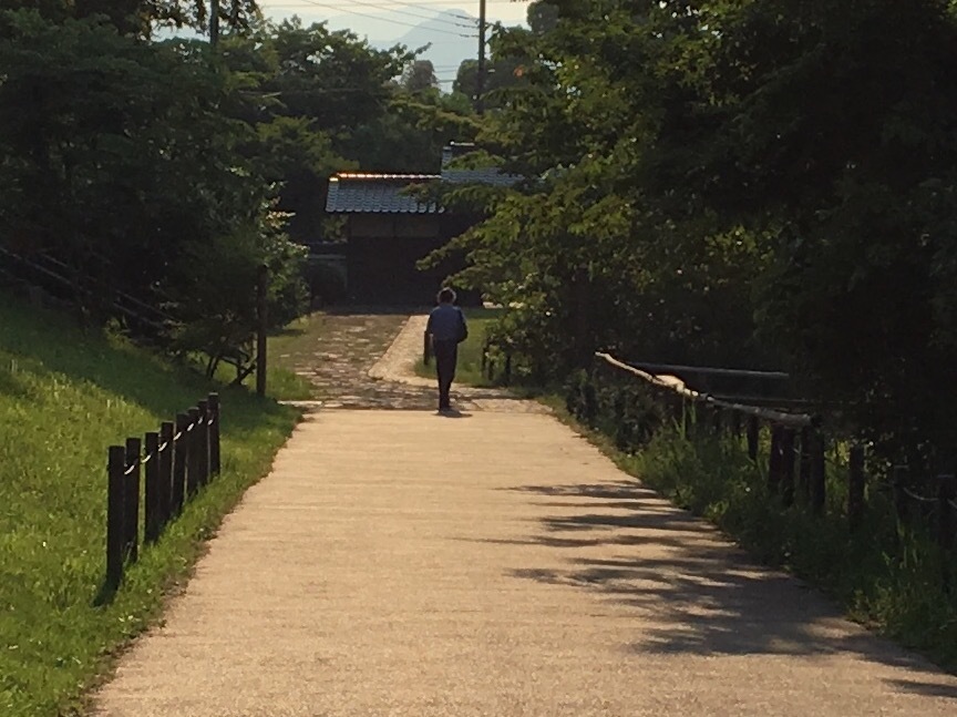 5月の夕暮れ…谷戸山公園_b0330040_22232820.jpg