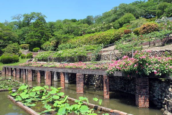 c0147952_21501850.jpg